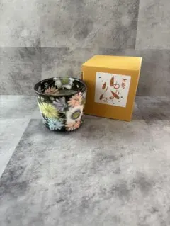 【新品未使用】工房「ゆずりは」　花かざり　パスタ皿】瀬戸焼 24mプレゼント Amazon | 工房ゆずりは 瀬戸焼 急須 花かざり ポット 茶器 陶器