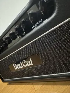 超レア BADCAT HOTCAT HEAD AMP 極美品 ワンオーナー品 - メルカリ
