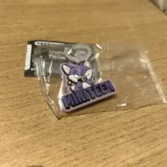 MINITEEN ぷっくりめじるしアクセサリー　ウォヌ　ガチャ