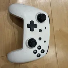ホワイトワイヤレスコントローラー