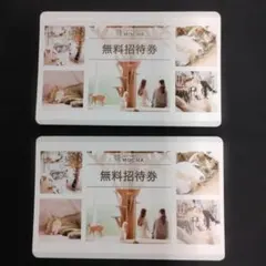 猫カフェMOCHA 無料招待券 2枚セット