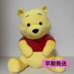 昭和レトロ・当時物】くまのプーさん オルゴール付き 首振りタイプ
