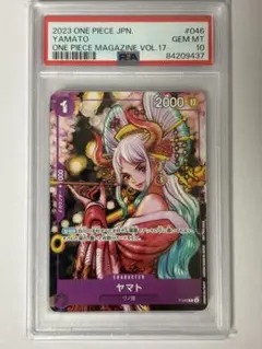 ONE PIECE magazine 当選品 クリアファイル 花魁ヤマト 夢の一枚】ワンピースマガジンvol 16 ヤマト 花魁｜Yahoo!フリマ