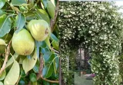 メルモ☆彡ユキエ様 リクエスト 2点 まとめ商品