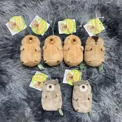 マーモットのもっとっとモアVMC ぬいぐるみ 6点セット