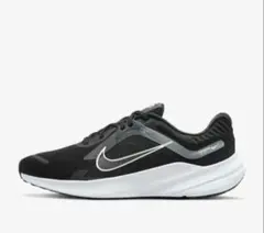 【新品未使用】27.5cm Nike　クエスト5
