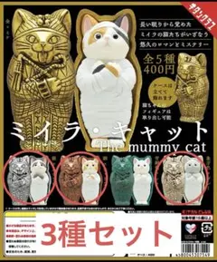 ミイラキャット