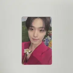 SEVENTEEN SECTOR17 weverse 特典 ディノ トレカ