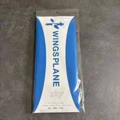 新品　WINGS PLANE sky 模型飛行機
