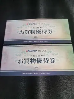 ヤマダホールディングス お買物優待券 10枚×2冊