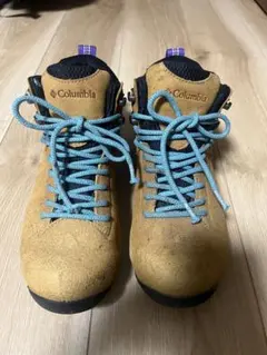 Item thumbnail for item 7352f791-3a61-4d8d-8b7e-2a6f5a7ee41e