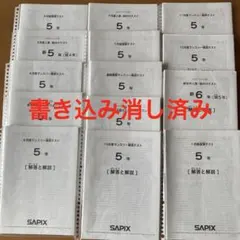 SAPIX 6年 テスト一式まとめ売り SAPIX 6年生 テスト問題+解説 ほぼフルセット 25年度 - メルカリ