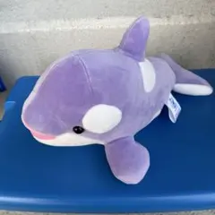 Item thumbnail for item c0645f9d-f207-451f-b603-bc572b8a0ef2