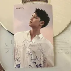 セブチ　ミンギュ　FLFL 舞花　舞い落ちる花びら