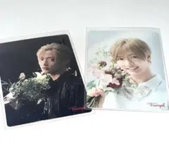 トリンプ × IMP. 佐藤新 メッセージカード