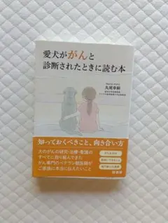 Item thumbnail for item 610383be-0ea8-4313-aa4a-21af8cab67e5