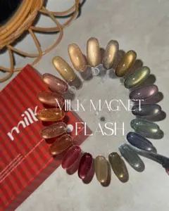 ネイルチップ＊enoiミルクマグネットフラッシュ オレンジブラウンレッドグリーン