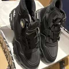 Item thumbnail for item 3fdf9700-d39f-4f75-a8c8-322ca91f1ce8