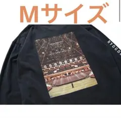 sakanaction山口一郎グッズ「遭遇 ロンT」（長袖Tシャツ） - メルカリ