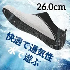 Item thumbnail for item aa88d2b3-32f4-4371-a9c9-2dbb17828446