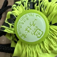 Item thumbnail for item 6e2264e4-96da-45b6-93bd-cd8caf86edc4