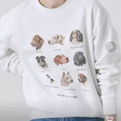 ビンテージ スウェット