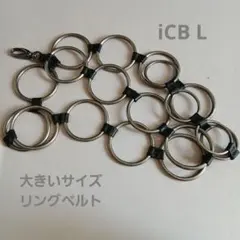 Item thumbnail for item 40b36f55-13cc-468e-8c56-fbe38895b98f