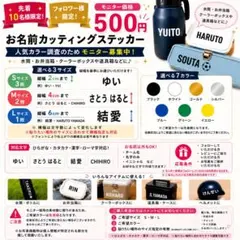 【フォロワー様限定】お名前カッティングステッカー モニター価格500円