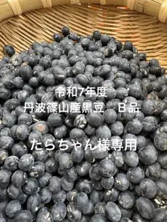 丹波篠山産黒豆　令和7年産　Ｂ品　　　たらちゃん様専用
