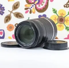 手ぶれ補正 CanonEF-S 55-250mm F4-5.6 IS 望遠レンズ - メルカリ