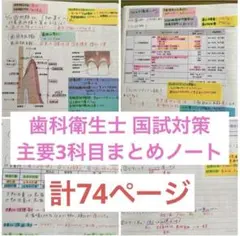 【主要3科セット】歯科衛生士 国家試験対策 まとめノート（予防・保健・補助） 2026年最新】歯科衛生士 国家試験対策 まとめノートの人気アイテム
