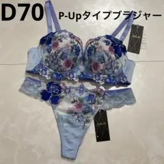 サルート 店舗限定49G グループ美しい青い街ブラジャー&ショーツF70-L
