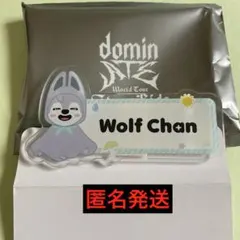 stray kids スキズ dominATE ランダムネームバッチ　バンチャン