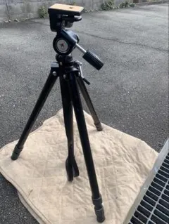 Item thumbnail for item 5c2359a3-ad25-4339-b2ab-446760ee852d