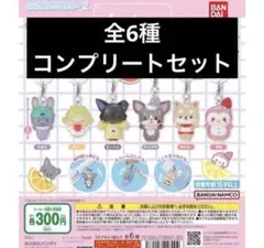 JOCHUMめじるしアクセサリー 全6種コンプリート