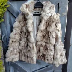 2026年最新】epolene ブルーフォックスの人気アイテム - メルカリ