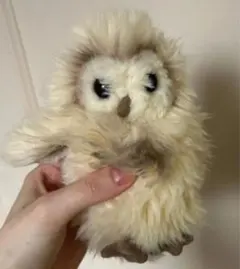 シュミンケ シュタイフ コラボ ふくろう ぬいぐるみ メリー 限定品