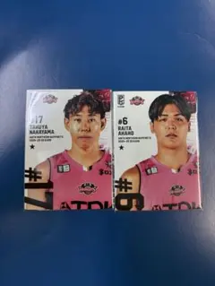 Item thumbnail for item 8651eba6-4ed4-48dd-b582-07a614d8849b