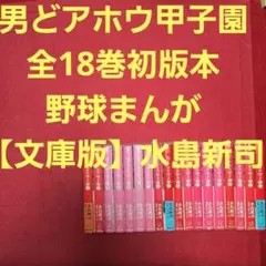 男どアホウ甲子園 全18巻セット 佐々木守 水島新司 秋田文庫 - メルカリ
