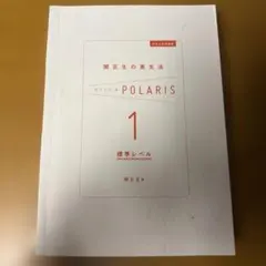 大学入試問題集 関正生の英文法　ポラリス1 標準レベル