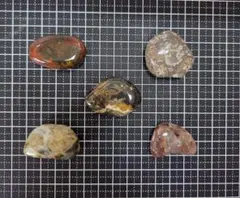 青森県産 津軽錦石 天然石 ポリッシュ済み GEMSTONE 石ころ 5個 F