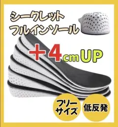 【4cm UP】 シークレットインソール 中敷き 身長アップ レディース メンズ