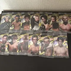 RIZINウエハースカード15枚