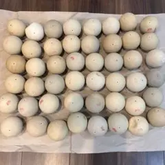 2026年最新】ソフトテニスボール練習球の人気アイテム - メルカリ