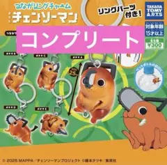 チェンソーマン　つながリングチャーム　コンプリート　ポチタ　めじるしアクセサリー