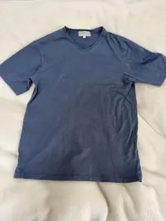 アバハウス【マイクロ鹿の子】シルケット Vネック Tシャツ