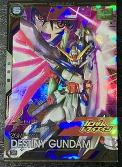 猫神様 リクエスト 2点 まとめ商品
