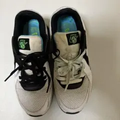 NIKE ナイキ W AIRMAX EXCEE