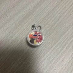 セイカ食品株式会社ミニチュアチャームコレクション ①