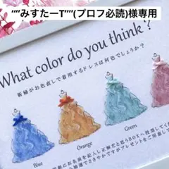 “”みすたーT様専用 ④ドレス色当てクイズ ドレス当てクイズ 投票ボックス
